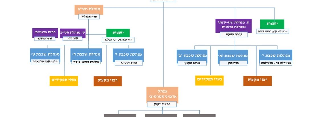 מבנה ארגוני